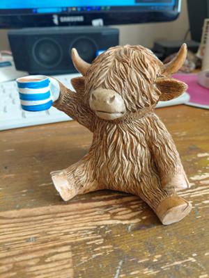 Highland Cow Holding a Cuppa photo