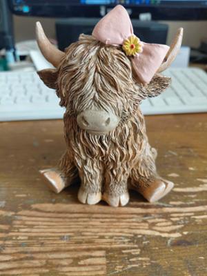 Highland Cow with a Bow photo