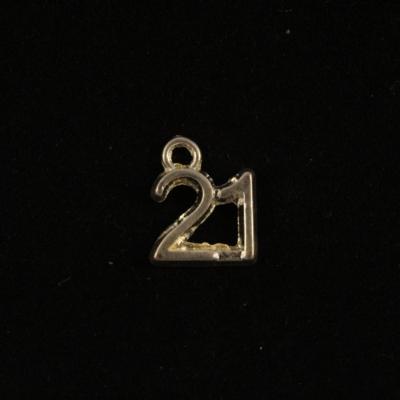 21 Birthday Charm photo