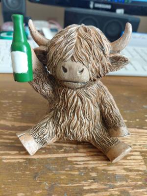 Highland Cow Holding a Bottle of Beer photo