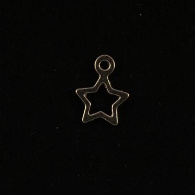 Star Charm photo
